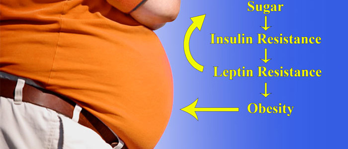 Insulin and Leptin – The Hunger Twins